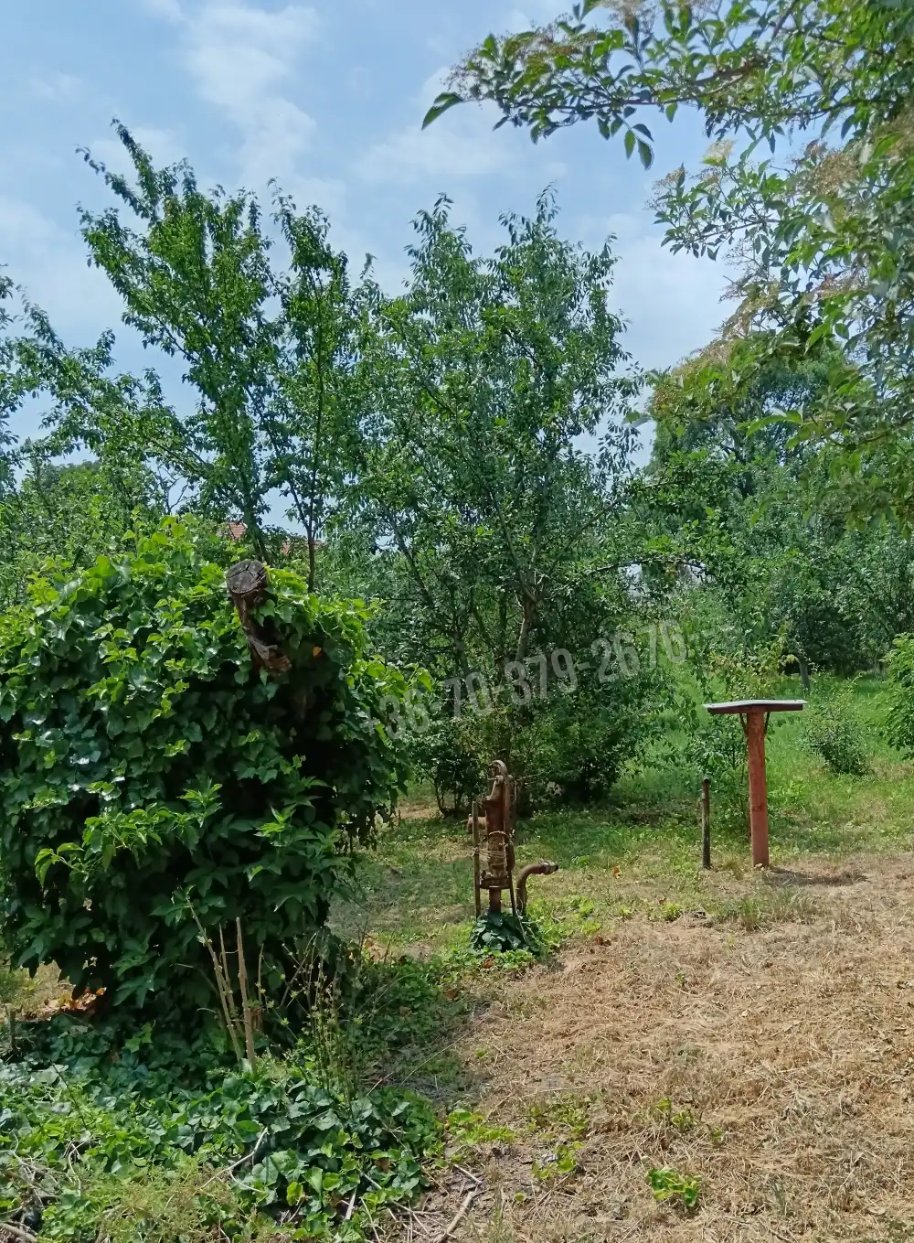 Pest megye - Szentlőrinckáta