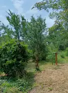 Pest megye - Szentlőrinckáta